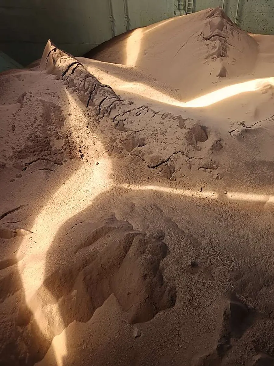 Iron ore fines in a cargo hold